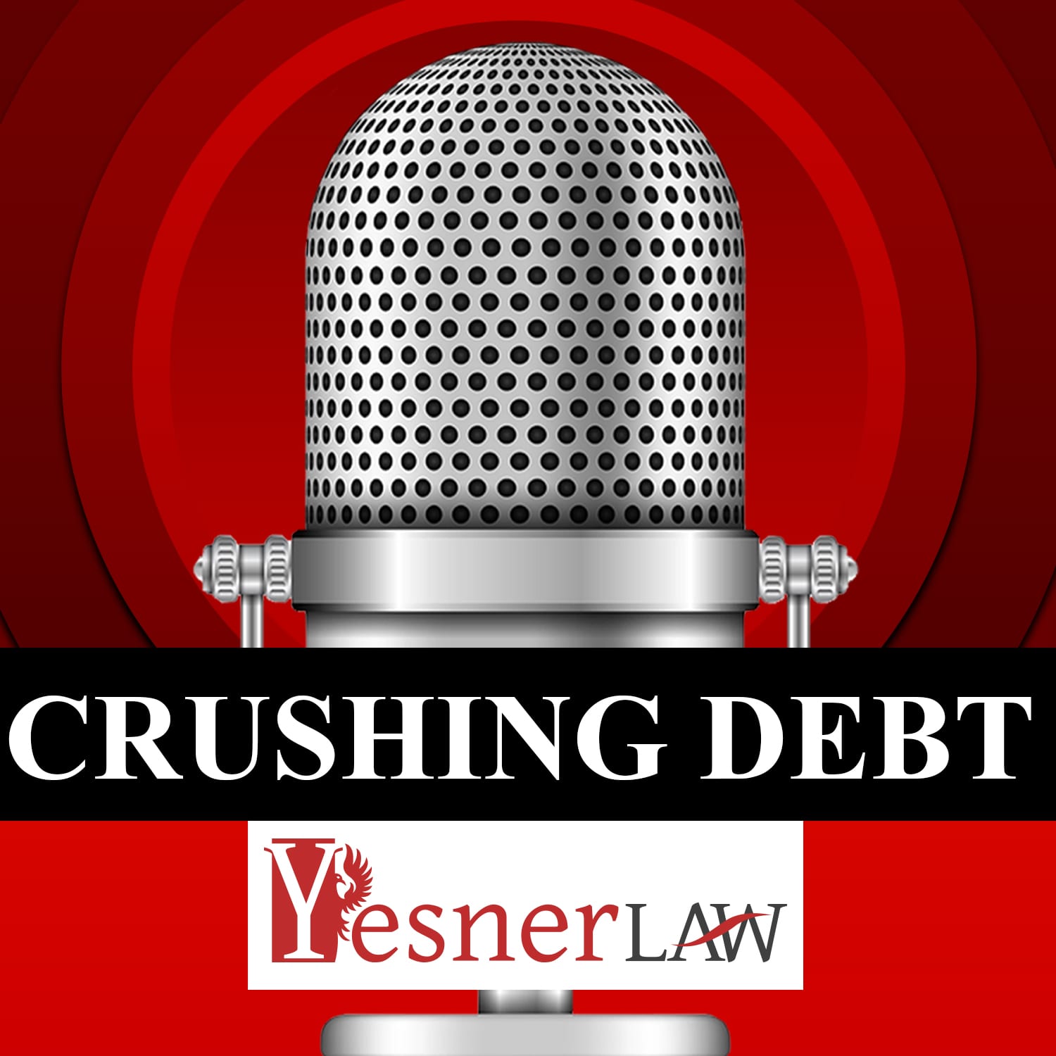 Scott in Crushing Debt talking with Shawn Yesner We Close Notes